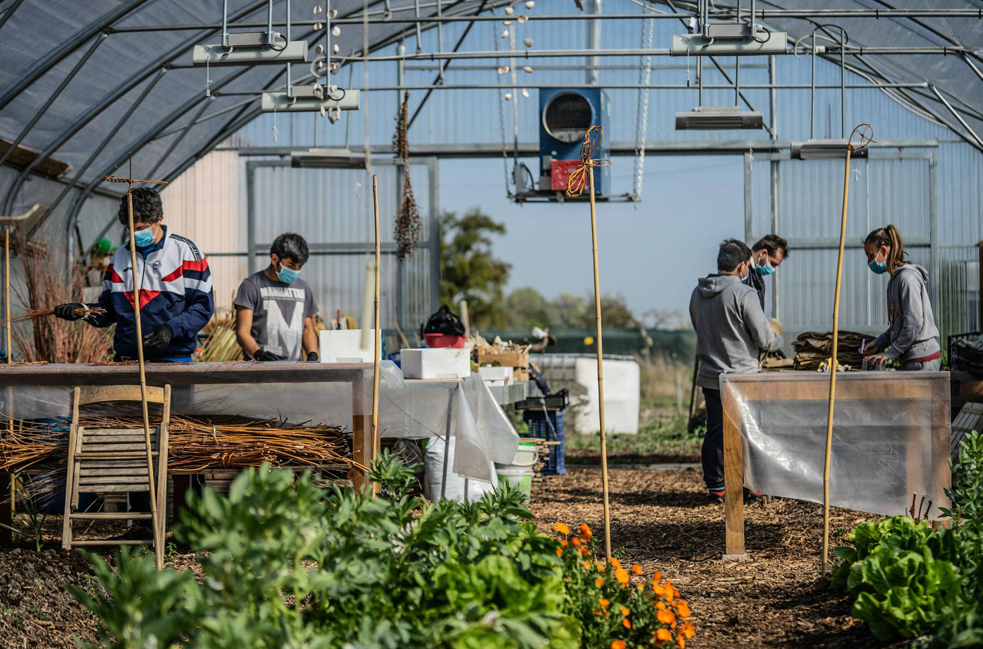 Laboratorio agricolo